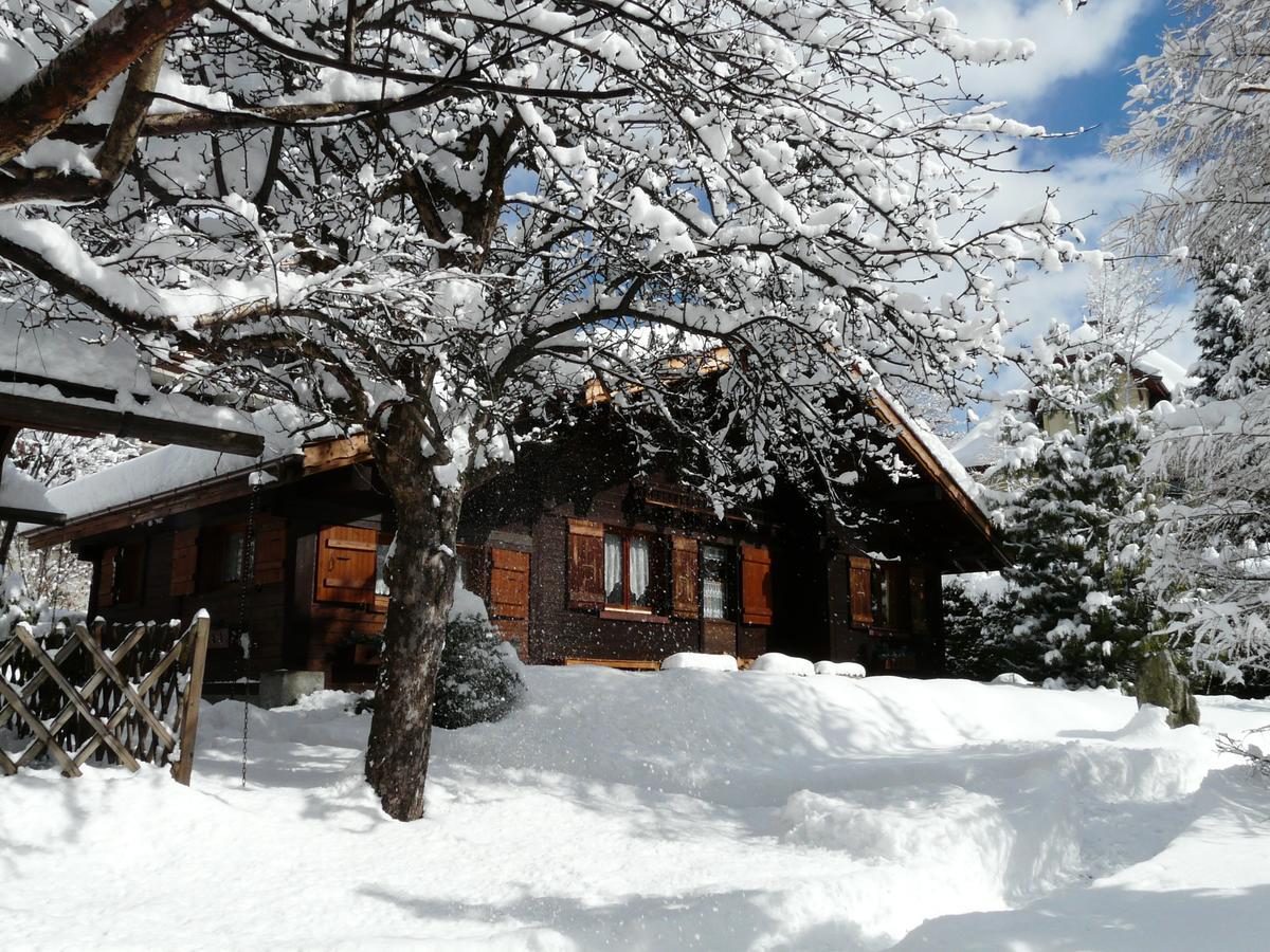 Chalet Des Glaciers Chamonix Exterior photo